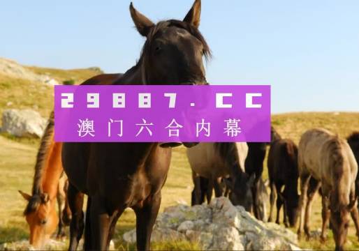 澳门管家婆一肖一码一特_高效策略实施_标准版87.743