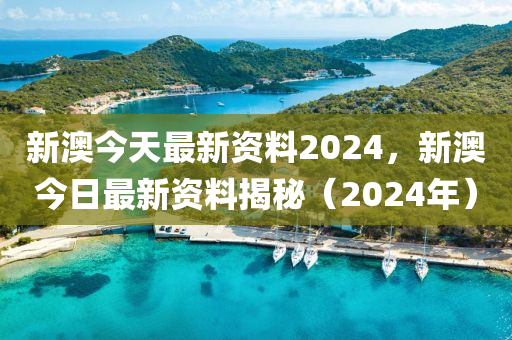 2024新澳最快最新资料