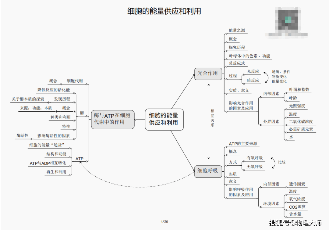 2024新澳三期必出一肖_最新解答方案_铂金版31.41