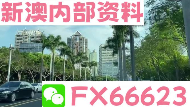 新澳精准资料免费提供353期_实效设计解析策略_M版65.781