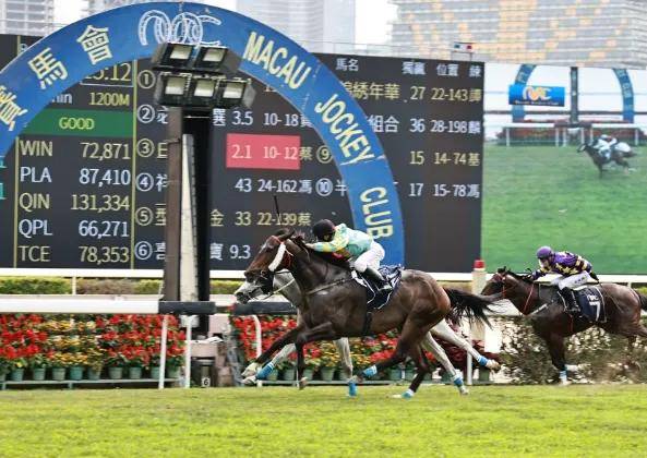 香港最准马会资料免费_权威分析解释定义_精英版31.771