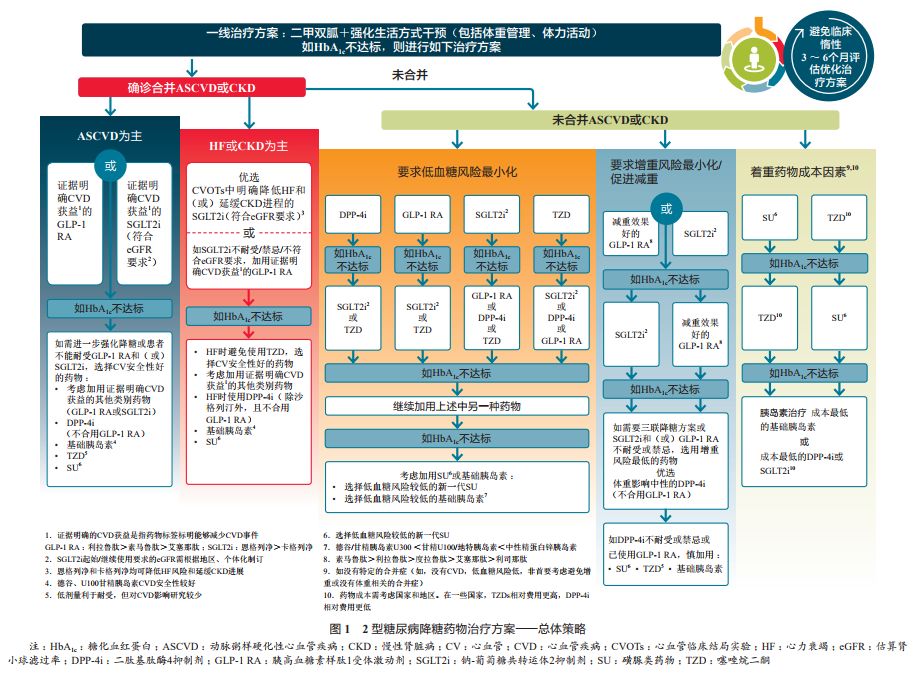 最新医学指南引领健康新领域，全面理解计划探索