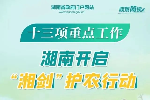 梅山最新招聘启事，探寻职业未来之路全面解析说明