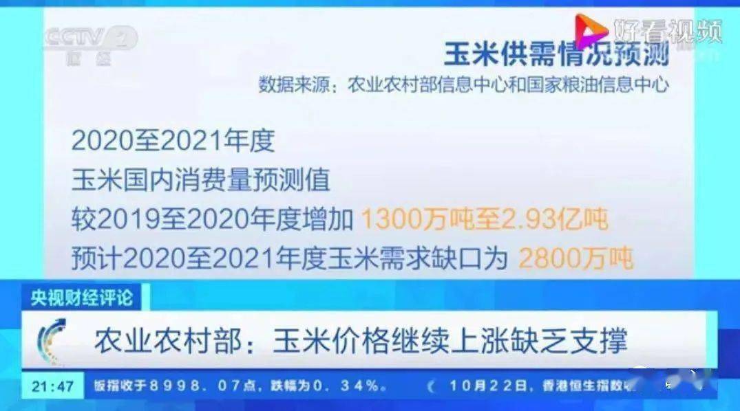 长治玉米价格最新动态，市场走势、种植户心声与策略设计探讨