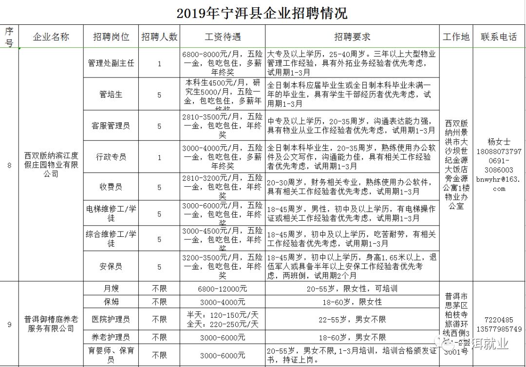 宁洱最新招聘信息及职业发展新天地动态，全面解读与词语解释更新，升级版资讯61.379