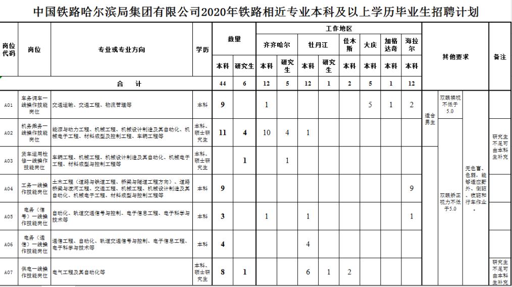 哈尔滨招聘信息热点解析，职业发展热门目的地时代资料详解