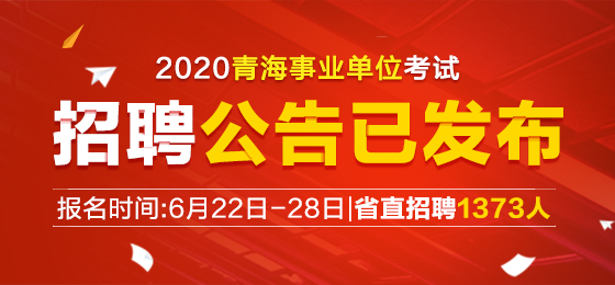 青海事业单位最新招聘启航，职业发展璀璨星辰，实效设计解析指南（Q83.808）