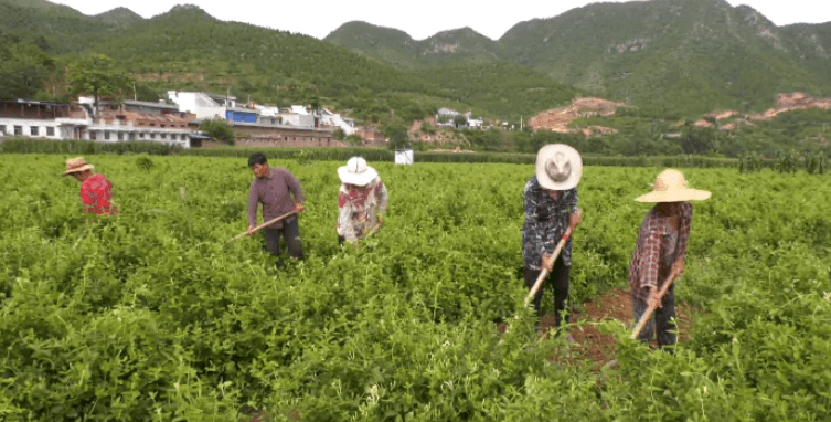 涉县个人出售独特机遇与收益成语分析定义，挑战与机遇并存的城市投资展望