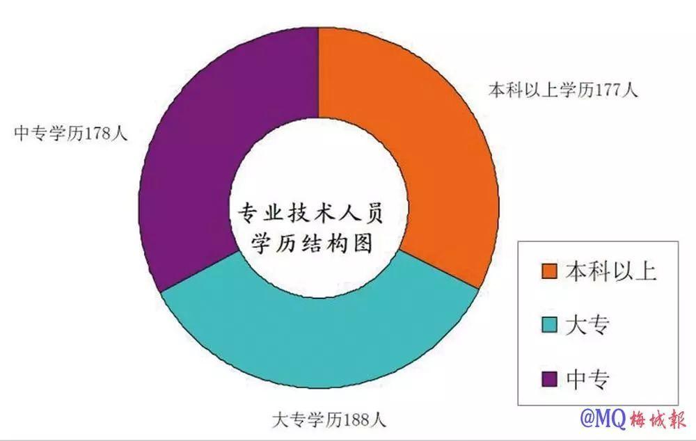 闽清新闻热点，展现活力与发展，优选方案解析说明