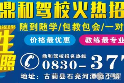 潮州司机招聘最新总汇，职业新机遇，启程人生旅程，专业解答无忧FHD版